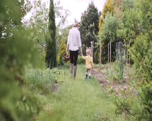 供卵代生宝宝,人工授精助孕预产期是怎么算的