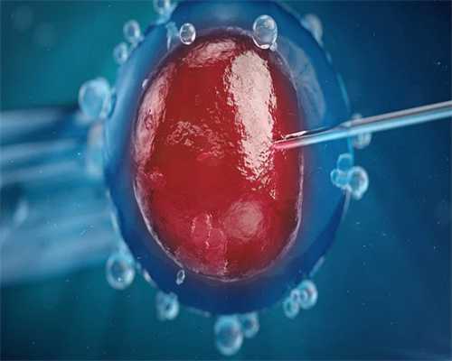 试管代孕医院的,天津真的可以助孕吗_正规助孕中心