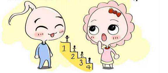 备孕前准备怀男孩_备孕多久不能喝酒,体内、体外精子存活时间各不同,备孕夫