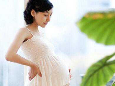 爱育华试管,常吃什么可以助孕