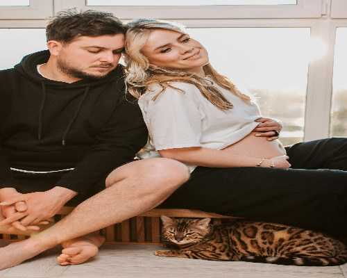 助孕网站,北京人工助孕多少钱_正规试管供卵中介