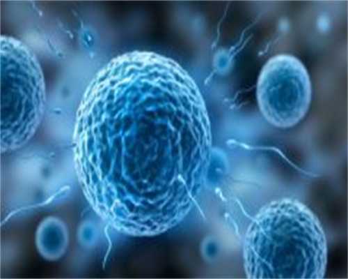 三代供卵例子,南阳试管助孕生混血宝宝要花多少钱