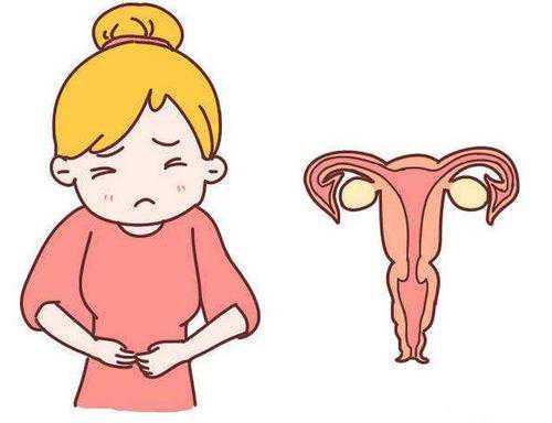 备孕不能吃什么食物_备孕注意哪些事项,不孕不育医保能报销吗(不孕不育报销可