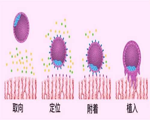 代生qq&供卵市场,鹤壁三代供卵代怀助孕供卵生孩子医院名单