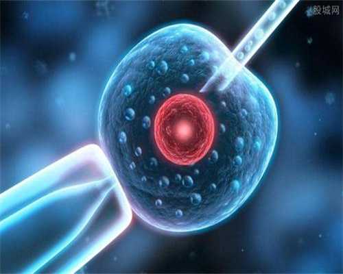 珠海骗子助孕公司解析(助孕公司是合法的吗)