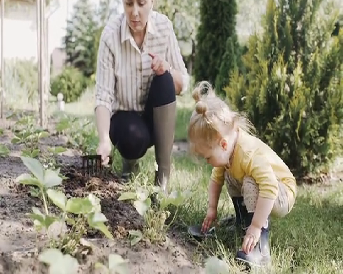 代孕公司哪里有,天津试管套餐_正规助孕中心