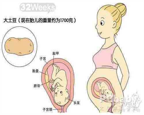 代孕妈，算一算体重超标不_乌克兰代怀孕机构