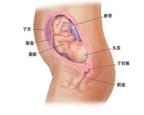 孕周越小药物对胎儿影响越大_广州传承助孕是真