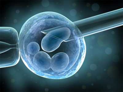 二代试管如何选择精子_三代试管婴儿囊胚等级_必看!为什么做深圳助孕试管婴儿