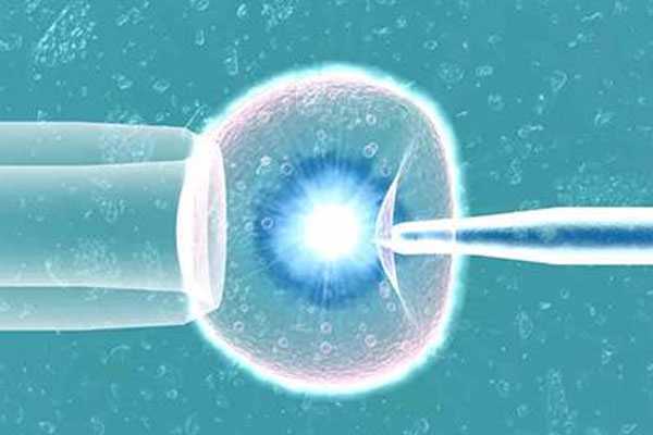人工试管二代和三代_三代试管胚胎筛查多久_试管婴儿囊胚，鲜胚冻胚哪种移植